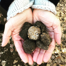 8c3909561d2243b6e9bbe37655e07e30_1677496014_6578.jpg 8c3909561d2243b6e9bbe37655e07e30_1677496014_6578.jpg