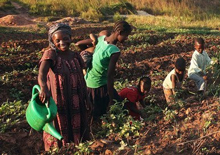 46f77c2231008b9a72c32e802022d43c_1682646279_3702.jpg 46f77c2231008b9a72c32e802022d43c_1682646279_3702.jpg