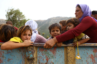 6e8eed24fb5d2490b6712e768f53935d_1684920299_9823.jpg 6e8eed24fb5d2490b6712e768f53935d_1684920299_9823.jpg