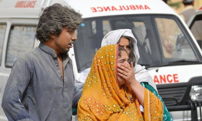 c41fc959a05a942e384e7fd3ed590634_1686810283_1233.jpg c41fc959a05a942e384e7fd3ed590634_1686810283_1233.jpg