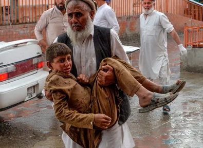 246021bc8f6215293007bc9110438674_1729232798_8136.jpg 246021bc8f6215293007bc9110438674_1729232798_8136.jpg